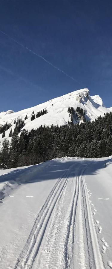 Apartmán Oyben 3 Bad Hindelang Exteriér fotografie