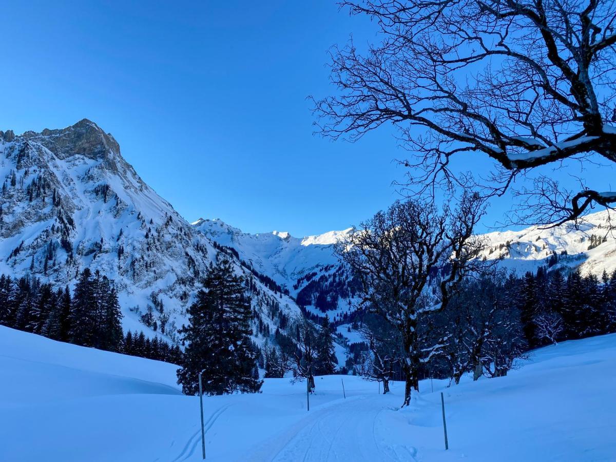 Apartmán Oyben 3 Bad Hindelang Exteriér fotografie